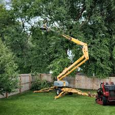 Best Commercial Tree Services  in Loyalhanna, PA